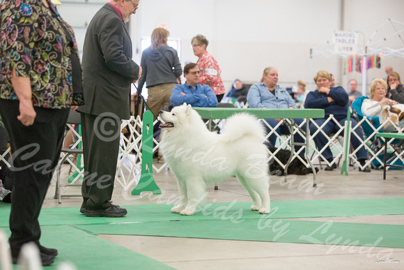 Dogshow 2016-04-23 Fond Du Lac--135819