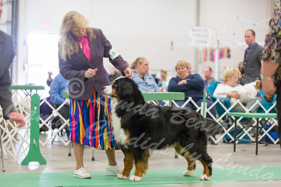 Dogshow 2016-04-23 Fond Du Lac--135712-2