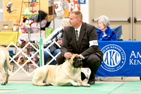 Dogshow 2016-04-23 Fond Du Lac--135749