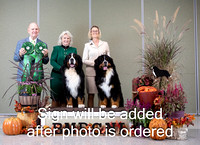 Dogshow 2024-10-26 BMDCNI Day 2--165128-2