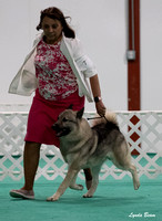 Dogshow 2024-06-29 NEINEA Candids--123329-2