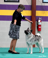 Dogshow 2024-06-30 NEINEA Candids--103620