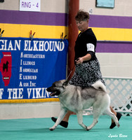 Dogshow 2024-06-30 NEINEA Candids--103608-2