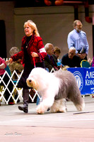 Herding Breeds and Group