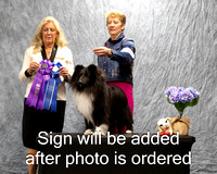 Dogshow 2024-04-06 Interlockking Win Photos--121443-2