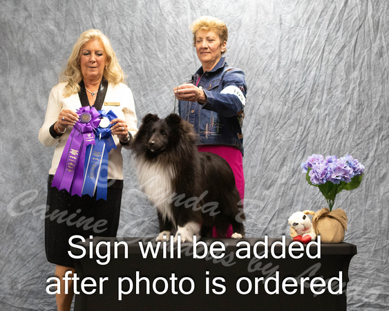 Dogshow 2024-04-06 Interlockking Win Photos--121446