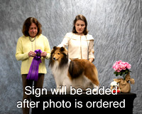 Dogshow 2024-04-06 Interlockking Win Photos--151654