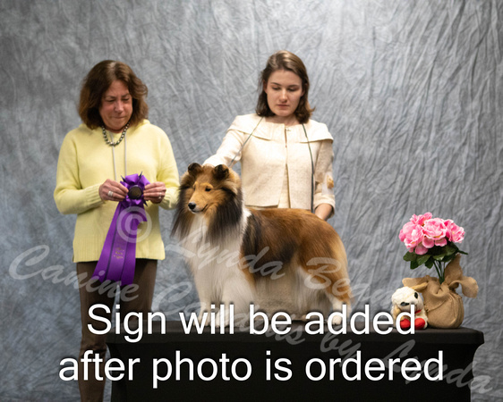 Dogshow 2024-04-06 Interlockking Win Photos--151654