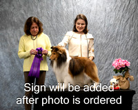 Dogshow 2024-04-06 Interlockking Win Photos--151657-3