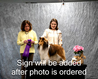 Dogshow 2024-04-06 Interlockking Win Photos--151723-2