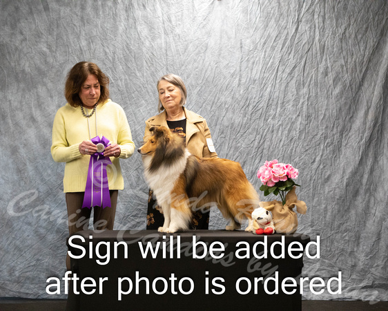 Dogshow 2024-04-06 Interlockking Win Photos--151832-4