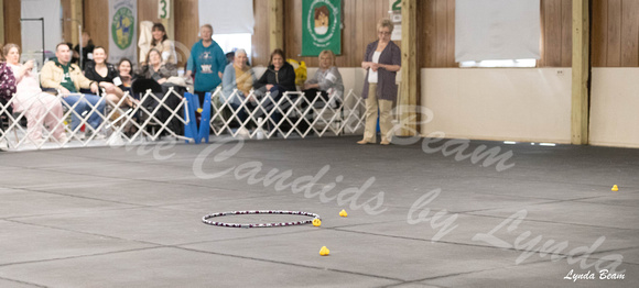 Dogshow 2024-04-06 Interlocking SSC of Monee Candids--130551