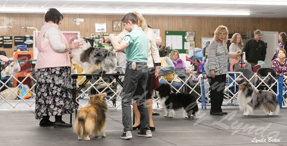Dogshow 2024-04-06 Interlocking SSC of Monee Candids--114502