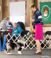 Dogshow 2024-04-06 Interlocking SSC of Monee Candids--101010