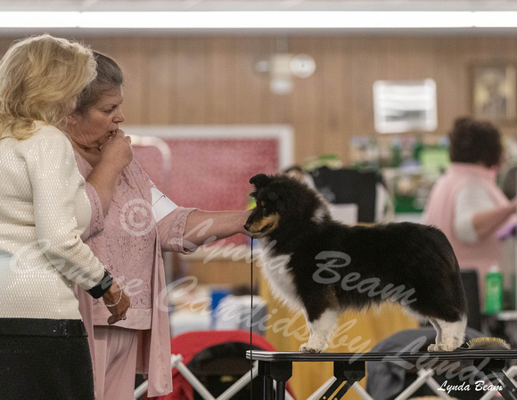 Dogshow 2024-04-06 Interlocking SSC of Monee Candids--101016-2