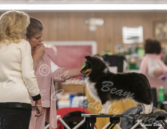 Dogshow 2024-04-06 Interlocking SSC of Monee Candids--101016