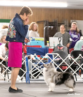 Dogshow 2024-04-06 Interlocking SSC of Monee Candids--101228