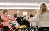 Dogshow 2024-04-06 Interlocking SSC of Monee Candids--102044