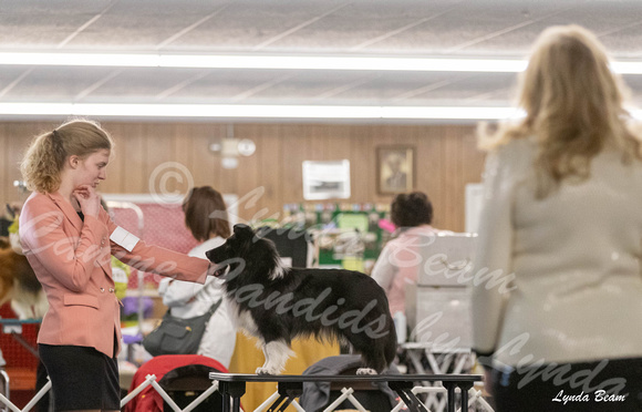 Dogshow 2024-04-06 Interlocking SSC of Monee Candids--102044