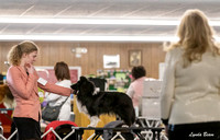 Dogshow 2024-04-06 Interlocking SSC of Monee Candids--102045