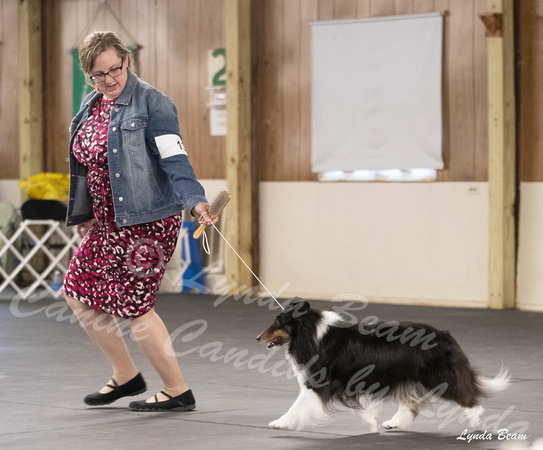 Dogshow 2024-04-06 Interlocking SSC of Monee Candids--111749-2