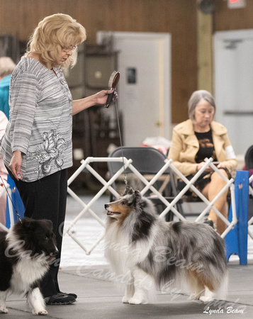 Dogshow 2024-04-06 Interlocking SSC of Monee Candids--145209
