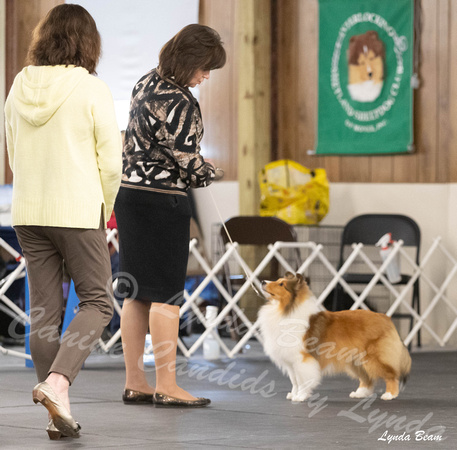 Dogshow 2024-04-06 Interlocking SSC of Monee Candids--134749