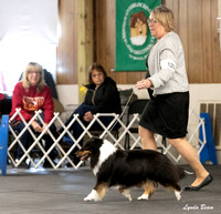 Dogshow 2024-04-06 Interlocking SSC of Monee Candids--141058-2