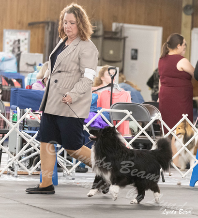 Dogshow 2024-04-06 Interlocking SSC of Monee Candids--131952