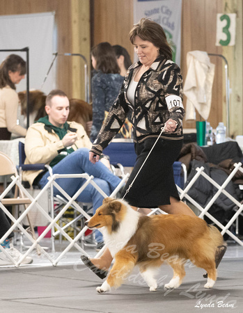Dogshow 2024-04-06 Interlocking SSC of Monee Candids--132432
