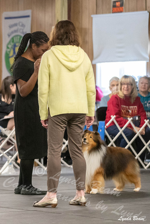 Dogshow 2024-04-06 Interlocking SSC of Monee Candids--132957