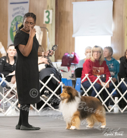 Dogshow 2024-04-06 Interlocking SSC of Monee Candids--133000