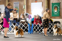 Dogshow 2024-04-06 Interlocking SSC of Monee Candids--140424