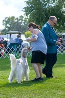 Dogshow 2018-07-30 Burlington WI (Mon)--162351