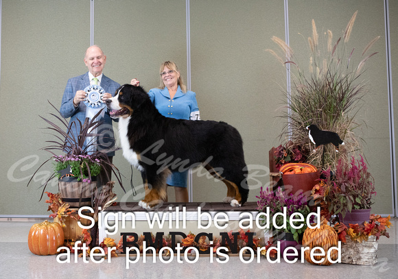 Dogshow 2024-10-26 BMDCNI Day 2--165558-2