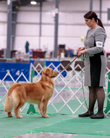 Dogshow 2018-01-25 Grayslake Day 1--172604