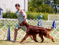 Dogshow 2022-07-30 Waukesha KC--103618-3
