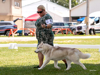Dogshow 2022-08-01 Burlington WI KC--122042-3