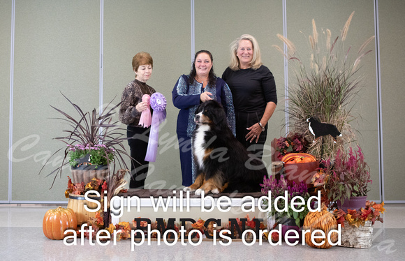 Dogshow 2024-10-26 BMDCNI Day 2--132502-2