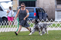 Dogshow 2018-07-31 Burlington WI KC Day 2--154714
