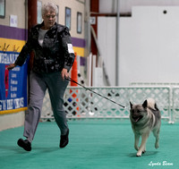 Dogshow 2024-06-30 NEINEA Candids--110945