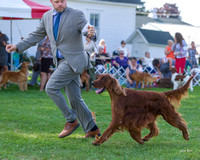 Dogshow 2018-07-30 Burlington WI (Mon)--162250