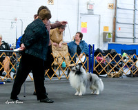 20150228 Best of Breed Competition