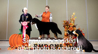 Dogshow 2024-10-25 BMDCNI Day 1--161603-2