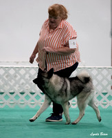 Dogshow 2024-06-29 NEINEA Candids--123633