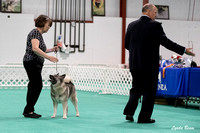 Dogshow 2024-06-30 NEINEA Candids--110632