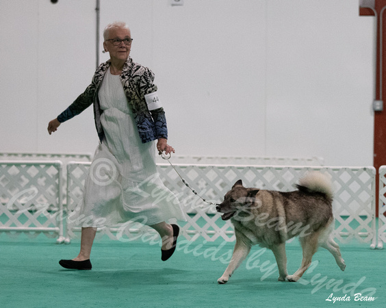 Dogshow 2024-06-30 NEINEA Candids--111435-2