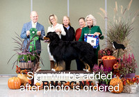 Dogshow 2024-10-26 BMDCNI Day 2--164941