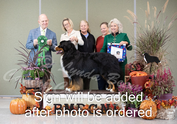Dogshow 2024-10-26 BMDCNI Day 2--164941