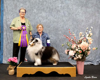 Dogshow 2025-04-05 2025 Interlocking SSC of Monee Win Photos --151741